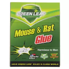 מלכודת דבק כפול  AL  YR-211 GREEN