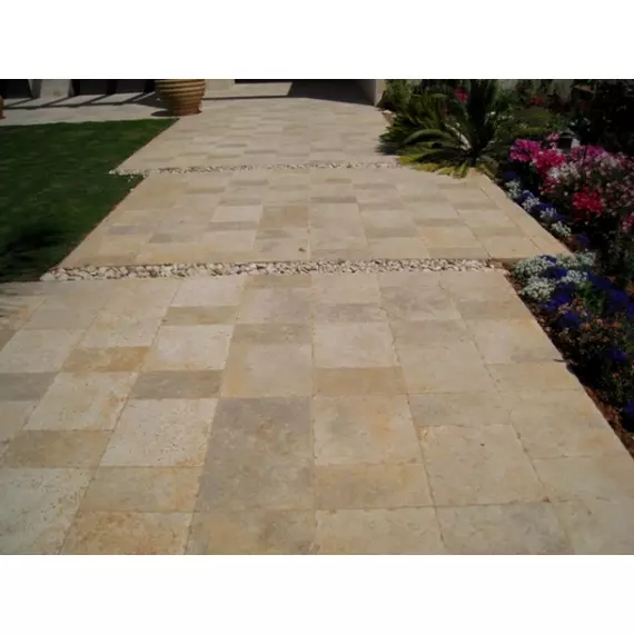 מברשת קרבון